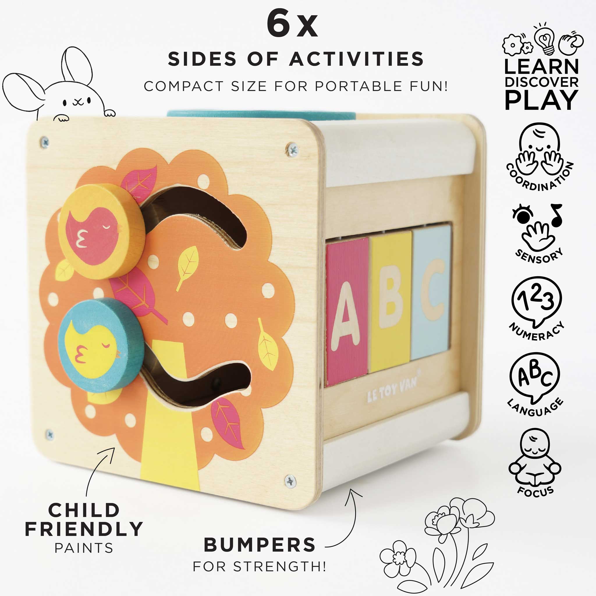 Petit Activity Cube