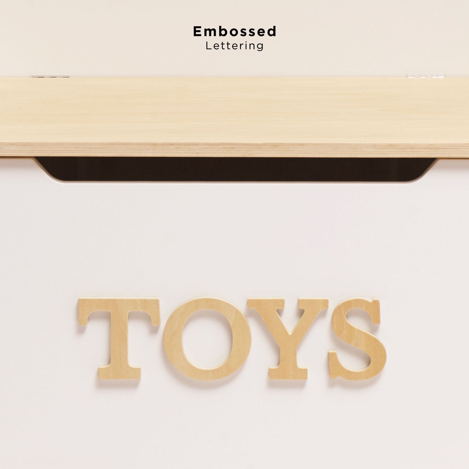 Toy Storage Box
